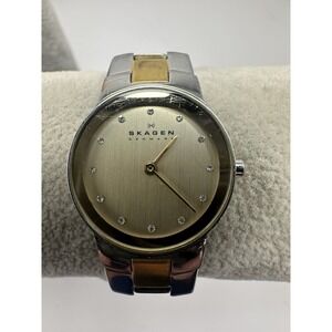 Skagen SKW2090 Ladies‎ Watch New Battery 25MM 6.75" Two Tone D35